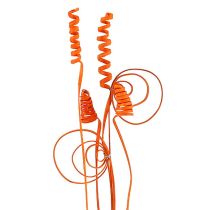 kategória Egzotikus