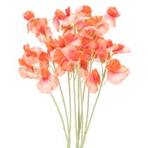 kategória Kerti virág és réti virág