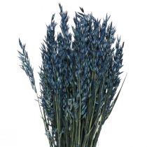 Szárított virágok, zab szárított gabona díszítés kék 68cm 230g