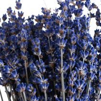 tételeket Szárított levendula csokor szárított virág kék 25cm 75g