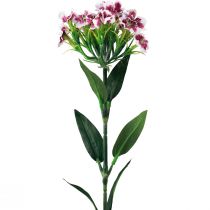 tételeket Szakállas szegfű Művirág Lila Fehér szegfű 52cm