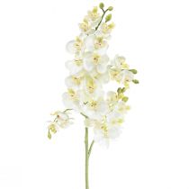 tételeket Phalaenopsis Mesterséges Orchideák Művirágok Fehér 70cm