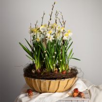 tételeket Kerek ültető, virágdísz, műanyag tál, díszedény zöld, fehér foltos H8,5cm Ø30cm