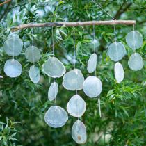 tételeket Tengeri deco akasztós kagyló szélcsengő uszadékfa ágon L65cm