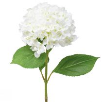tételeket Dekoratív hortenzia mesterséges fehér hógolyó hortenzia 65cm