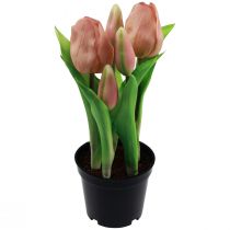 tételeket Mesterséges tulipán cserépben Tulipán Barack művirág 22cm
