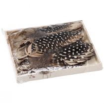 tételeket Dekoratív toll medál fa natúr toll 9,5/10cm 9 db