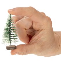 tételeket Műfenyők asztaldíszként karácsonyra, hófödte, 6 cm, 12 darab
