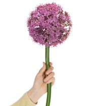 tételeket Műhagyma, díszhagyma, elegáns szobadekoráció, 90 cm