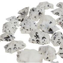 tételeket Shell Deco Shells Fehér Fekete Kicsi 1-2,5cm 250g
