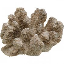 Tengeri dekoráció, tengeri állat, dekoráció korall polirezin 13,5x11,5 cm