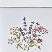 tételeket Virágtál fém tál ültetőből 27×16×15,5cm