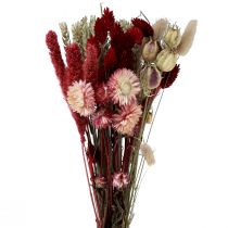 tételeket Szárított virágcsokor szalma virágok Phalaris piros 30cm
