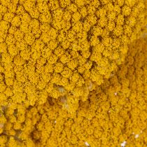 tételeket Achillea Natur Gelb szárított cickafark virág sárga 1kg