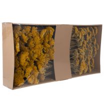 tételeket Achillea Natur Gelb szárított cickafark virág sárga 1kg