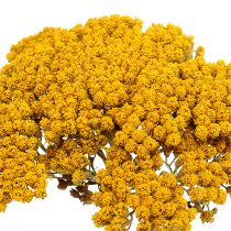tételeket Achillea 1kg natúr