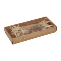 tételeket Díszcsillagok fakéreg díszítő csillagok ragasztásához Advent 22cm 24 db