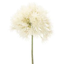 tételeket Allium művirág, finom design beltéri használatra, 68cm