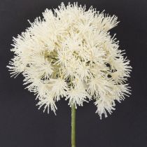 tételeket Allium művirág, finom design beltéri használatra, 68cm
