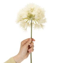 tételeket Allium művirág, finom design beltéri használatra, 68cm