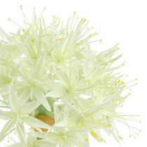 Allium krém fehér L76cm