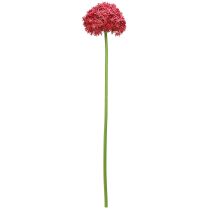 tételeket Allium bordeaux mesterséges díszfokhagymában Ø18cm L90cm
