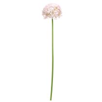 tételeket Allium rózsaszín virágokkal műhagyma Ø18cm L90cm