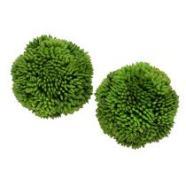 Allium labda 5cm zöld 4db
