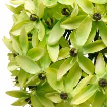 tételeket Díszhagyma Allium, selyemvirág, műgömb póréhagyma zöld Ø20cm L72cm