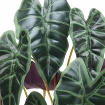 tételeket Alocasia nyíl levélzöld, ibolya műnövény H48cm