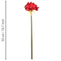 tételeket Művörös amarillisz virág szárral, karácsonyi virágdísz, 50cm