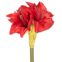 tételeket Művörös amarillisz virág szárral, karácsonyi virágdísz, 50cm