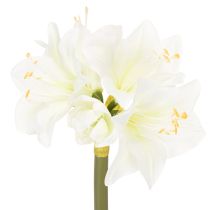 tételeket Művirág amarillisz, fehér, szárral, adventi és karácsonyi, 50cm
