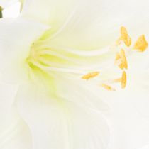 tételeket Művirág amarillisz, fehér, szárral, adventi és karácsonyi, 50cm