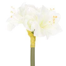 tételeket Művirág amarillisz, fehér, szárral, adventi és karácsonyi, 50cm