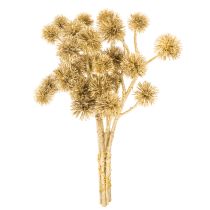 tételeket Mesterséges Borostyánszínű Gyümölcság, Arany Díszítéssel, 26 cm, 6 Darabos Csomag