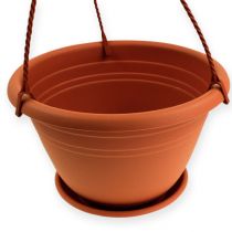 tételeket Akasztókosár Galicia Ø30cm terrakotta