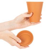 tételeket Aquasafe víztározó rovaritatóval kertbe, erkélyre, teraszra, 12 cm, 3 darab