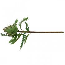 tételeket Articsóka zöld deco őszi Ø7,5cm H43cm