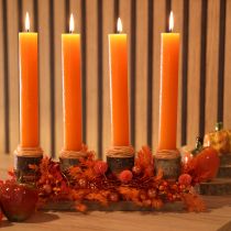 tételeket Szárított spárgavirág ág díszspárga festett 65cm 80g