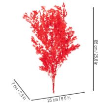 tételeket Szárított spárgacsokor virágdíszekhez 65cm 80g