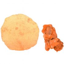 tételeket Osztriga kagyló capiz szeletek nettó narancsban 3,5-9,5 cm 2db