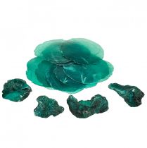 tételeket Osztriga kagyló capiz szeletek nettó türkizben 3,5-9,5 cm 2db