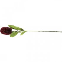 tételeket Művirág Banksia Red Burgundy Artificial Exotics 64cm