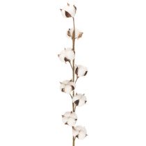 tételeket Műpamut ág 8 igazi virággal, 78 cm