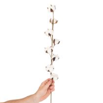 tételeket Műpamut ág 8 igazi virággal, 78 cm