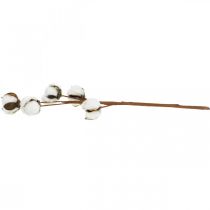 tételeket Pamutág díszítés Valódi pamut díszág 5 fej 50cm