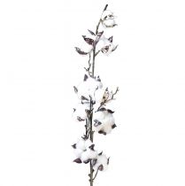 tételeket Gyapotág pamut virágok műbarna fehér L95cm