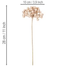 tételeket Műbogyó ág, pezsgőszínű dekoráció, 28cm, 3 darab