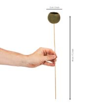 tételeket Harang alakú csésze száron, zöld, szárított egzotikus virágok, 5 cm, 15 darab